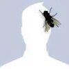 Patryk Kolomyjski Avatar